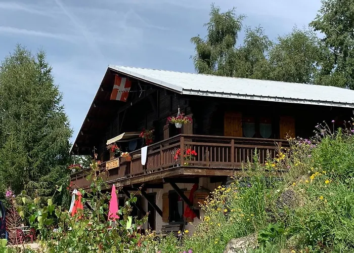 MAGNIFIQUE APPARTEMENT PLEIN SUD AUX SAISIES n3
